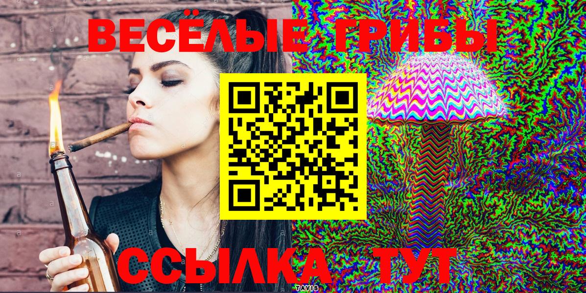 Псилоцибиновые грибы Psilocybe Зеленогорск