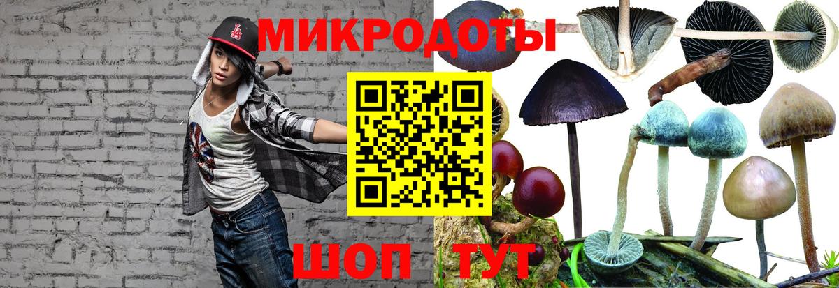 Галлюциногенные грибы ЛСД  Вход с VPN  Зеленогорск 
